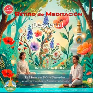 Retiro de meditación: despierta!