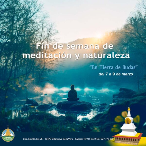 Meditación y Naturaleza